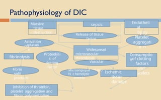 Pathophysiology of DIC
Massive
tissue
destruction
sepsis Endotheli
al
injury
Release of tissue
factor Platelet
aggregati
o n
Widespread
microvascular
thrombosis
Consumptio
nof clotting
factors
and
platelets
Ischemic
tissue
damage
fibrinolysis
Vascular
occlusio
n
Microangiopat
hi c hemolytic
anemia
Activation
ofplasmi
n
Proteolysi
s of
clotting
factor
Fibrin
split
products
Inhibition of thrombin,
platelet aggregation and
fibrin polymerization
 