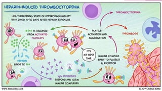 Platlets Disorders PLATELET DISORDERS.pptx