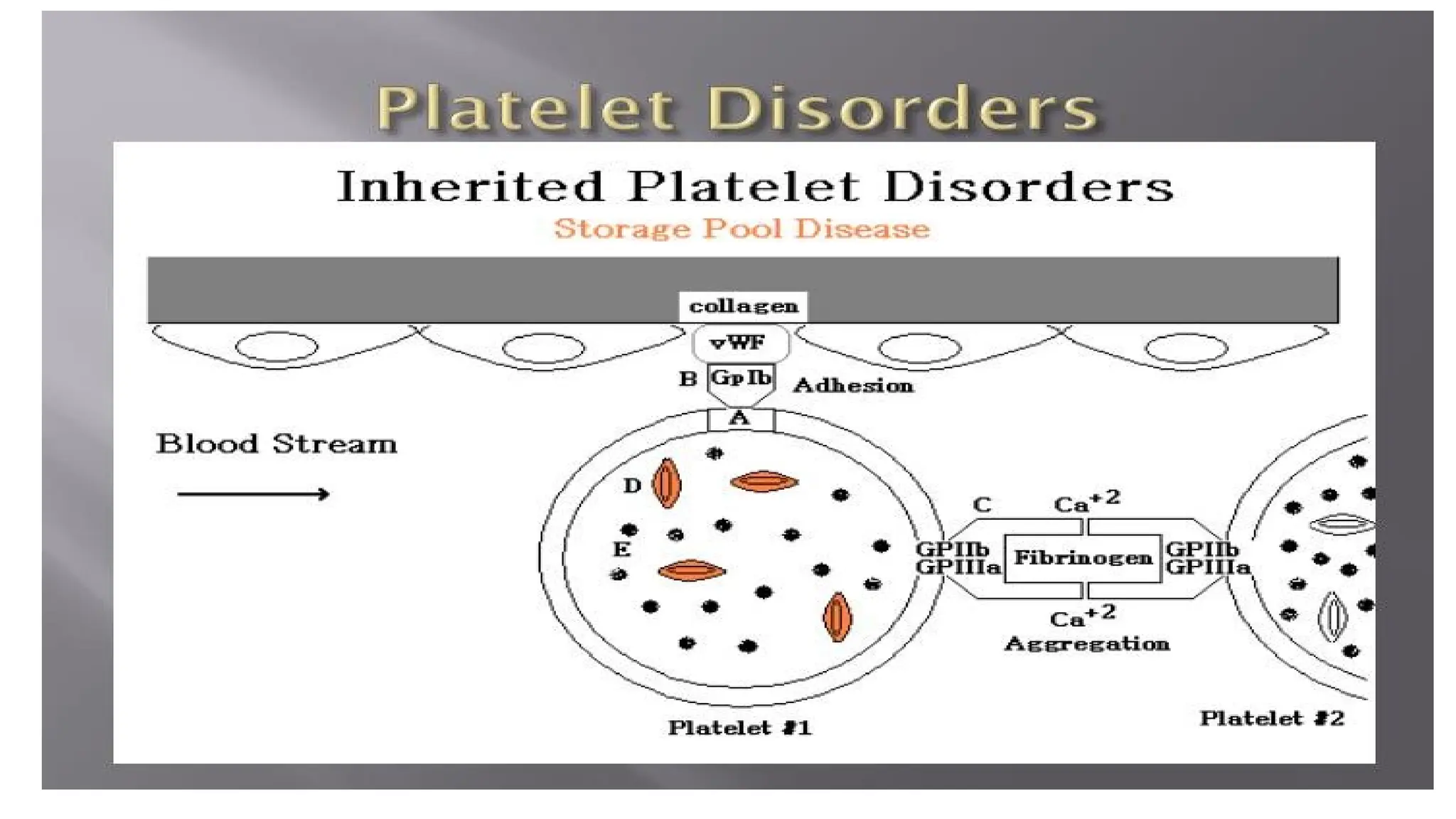 Platelet disorders in Internal medicine.pptx