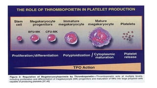 Comprehensive Overview of Platelet Physiology and Coagulation Disorders ...