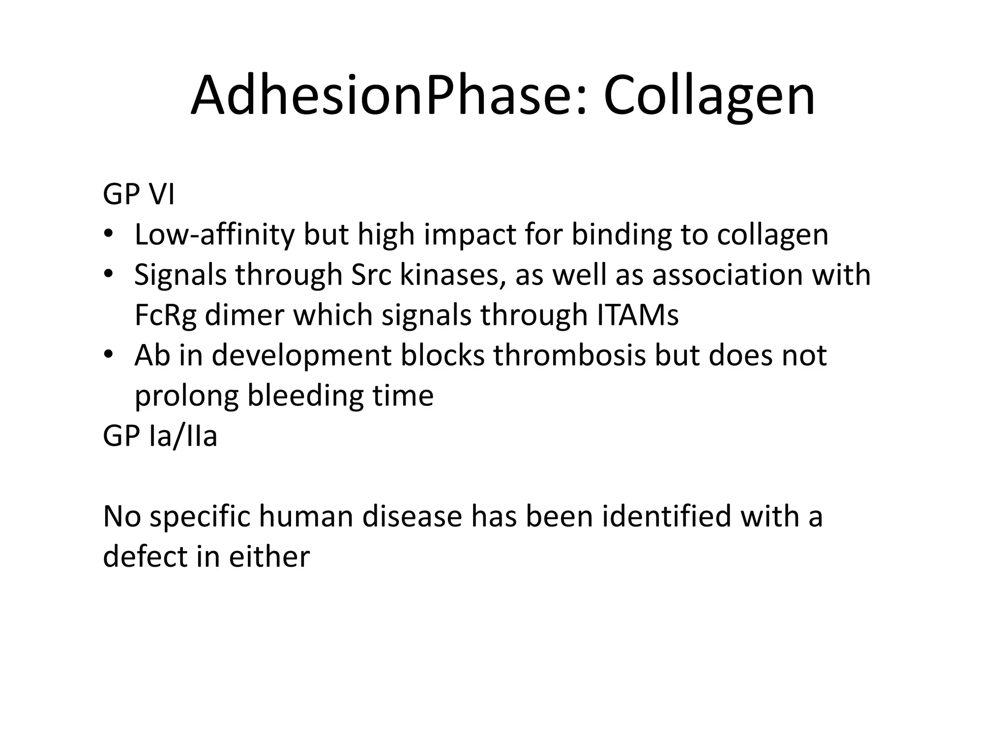 AdhesionPhase: Collagen
GP VI
• Low-affinity but high impact for binding to collagen
• Signals through Src kinases, as well as association with
FcRg dimer which signals through ITAMs
• Ab in development blocks thrombosis but does not
prolong bleeding time
GP Ia/IIa
No specific human disease has been identified with a
defect in either

 