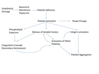 Endothelial
Damage

Basement
Membrane
Exposures

Platelet Adhesion

Platelet Activation
Phospholipid
Exposure

Coagulation Cascade
(Secondary Hemostasis)

Release of Soluble Factors

Shape Change

Integrin activation

Activation of Other
Platelets

Platelet Aggregation

 