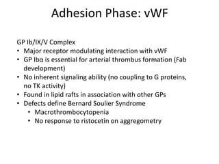 Adhesion Phase: vWF
GP Ib/IX/V Complex
• Major receptor modulating interaction with vWF
• GP Ibα is essential for arterial thrombus formation (Fab
development)
• No inherent signaling ability (no coupling to G proteins,
no TK activity)
• Found in lipid rafts in association with other GPs
• Defects define Bernard Soulier Syndrome
• Macrothrombocytopenia
• No response to ristocetin on aggregometry

 