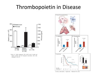 Thrombopoietin in Disease

 
