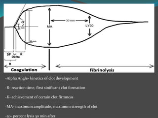 -Alpha Angle- kinetics of clot development
-R- reaction time, first sinificant clot formation
-K- achievement of certain clot firmness
-MA- maximum amplitude, maximum strength of clot
-30- percent lysis 30 min after
 