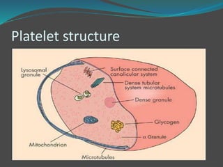 Platelet structure
 