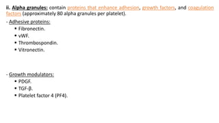 ii. Alpha granules: contain proteins that enhance adhesion, growth factors, and coagulation
factors (approximately 80 alpha granules per platelet).
- Adhesive proteins:
 Fibronectin.
 vWF.
 Thrombospondin.
 Vitronectin.
- Growth modulators:
 PDGF.
 TGF-β.
 Platelet factor 4 (PF4).
 