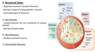 2. Structural Zone:
- Organized network of protein filaments.
- Maintain shape of resting platelet—discoid.
- 3 principle types of filaments:
a). Microtubules:
- Located beneath the cell membrane of resting
platelet.
- Maintain discoid shape.
b). Microfilaments:
- Mediate contractile events.
c). Intermediate filaments.
 