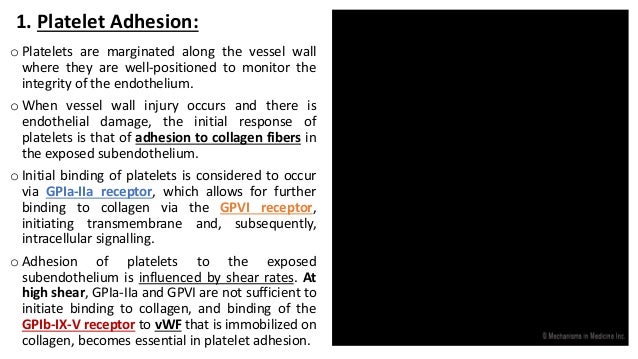 Platelet function test quest diagnostics picture