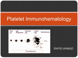 RAFIQ AHMAD
Platelet Immunohematology
 