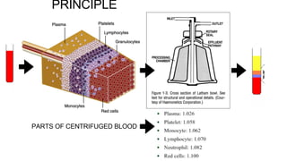 PRINCIPLE
PARTS OF CENTRIFUGED BLOOD
 
