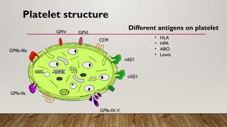 Comprehensive Overview of Platelet Refractoriness and Transfusion ...