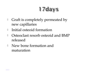  Graft is completely permeated by
new capillaries
 Initial osteoid formation
 Osteoclast resorb osteoid and BMP
released
 New bone formation and
maturation
GDC
 