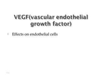  Effects on endothelial cells
GDC
 