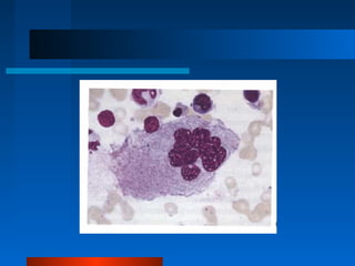 Platlets Disorders Platelets and platelets disorderz | PPT