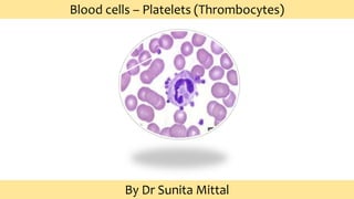 Blood cells – Platelets (Thrombocytes)
By Dr Sunita Mittal
 