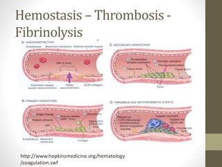 Hemostasis – Thrombosis -
Fibrinolysis
http://www.hopkinsmedicine.org/hematology
/coagulation.swf
 