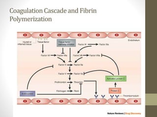 CoagulationCascadeand Fibrin
Polymerization
 