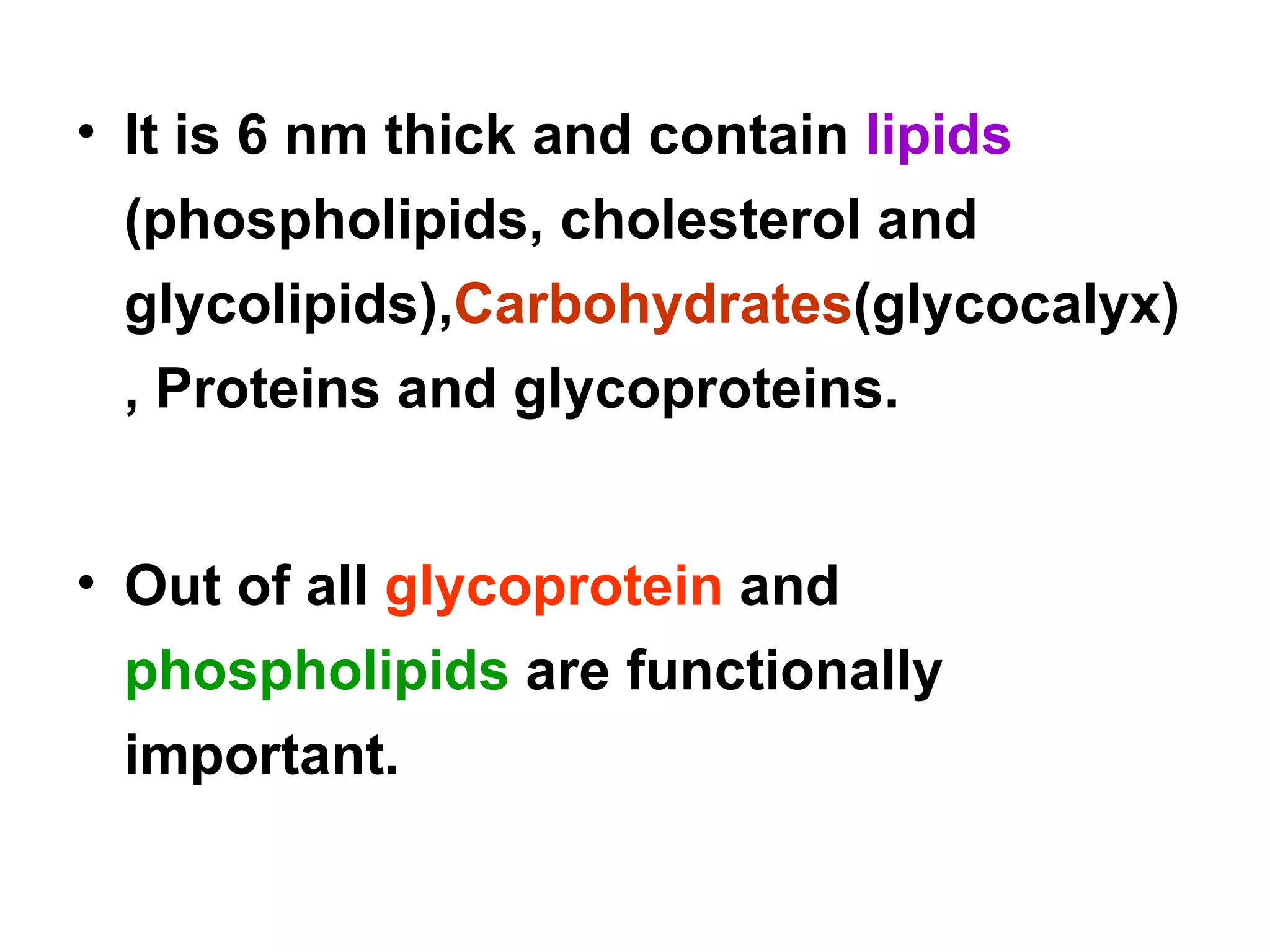 It is 6 nm thick and contain  lipids  (phospholipids, cholesterol and glycolipids), Carbohydrates (glycocalyx), Proteins and glycoproteins. Out of all  glycoprotein  and  phospholipids  are functionally  important.  