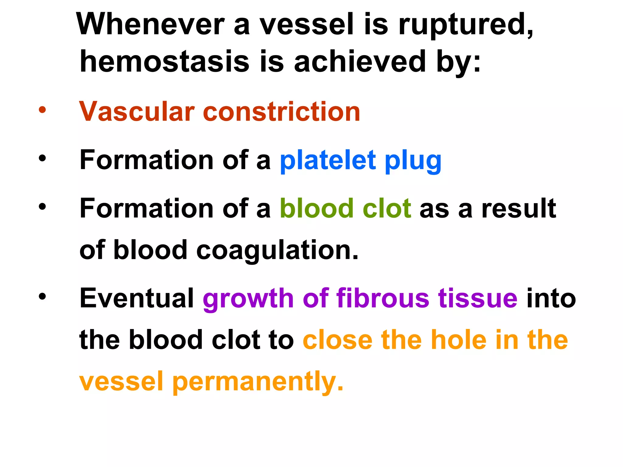 Whenever a vessel is ruptured, hemostasis is achieved by: Vascular constriction   Formation of a  platelet plug  Formation of a  blood clot  as a result of blood coagulation.  Eventual  growth of fibrous tissue  into the blood clot to  close the hole in the vessel permanently. 