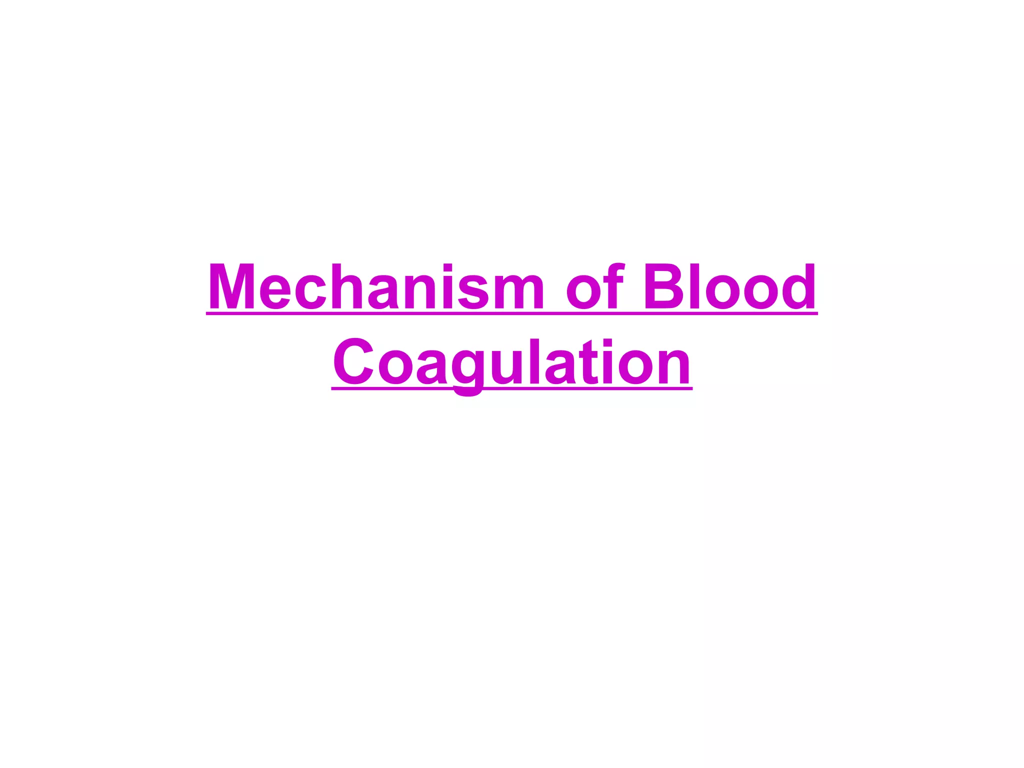 Mechanism of Blood Coagulation 