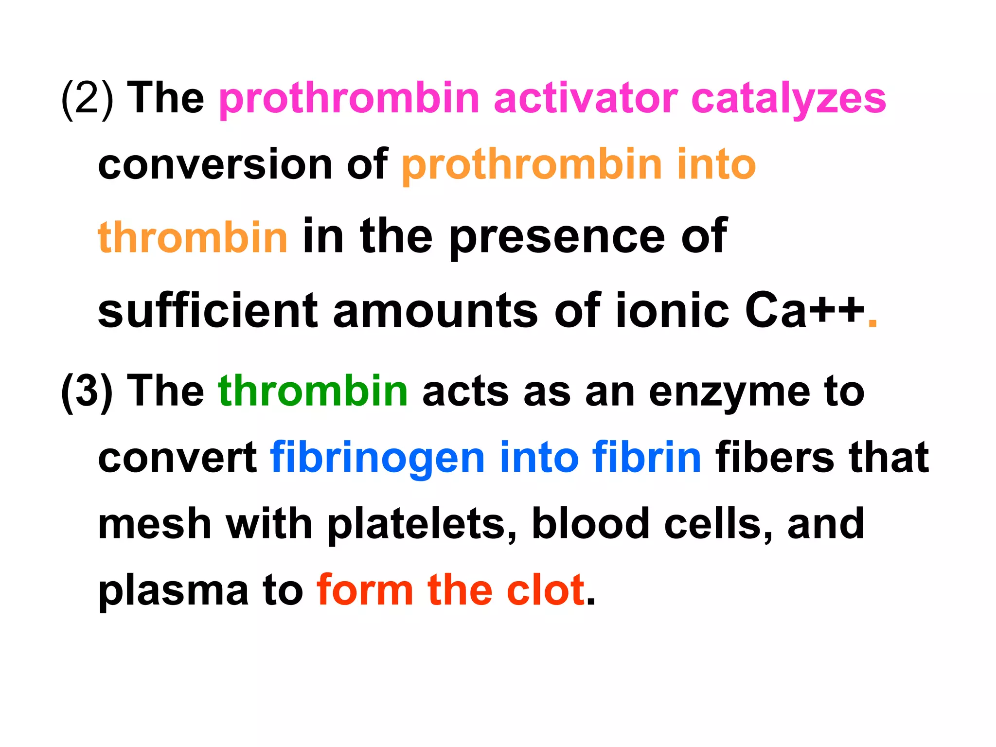 (2)  The  prothrombin activator catalyzes  conversion of  prothrombin into thrombin  in the presence of sufficient amounts of ionic Ca++ . (3) The  thrombin  acts as an enzyme to convert  fibrinogen into fibrin   fibers that mesh with platelets, blood cells, and plasma to  form the clot . 