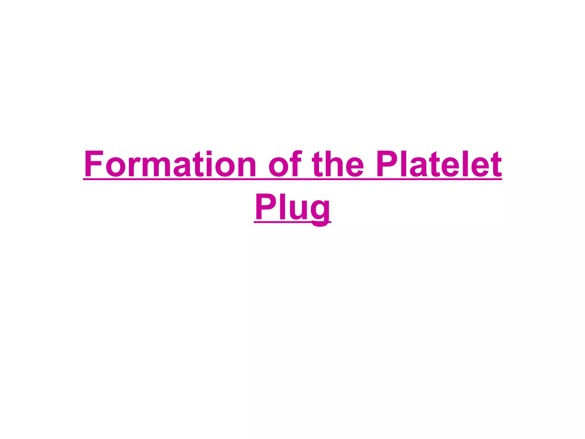 Formation of the Platelet Plug 