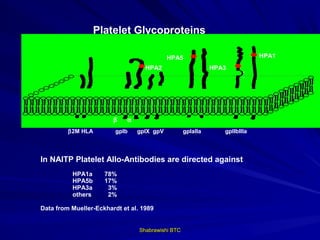 Platelet Glycoproteins

                                                HPA5                            HPA1
                                       HPA2                      HPA3
                                                                           s
                                                                           s


                                ss




                        β    α
         β2M HLA         gpIb        gpIX gpV          gpIaIIa      gpIIbIIIa



In NAITP Platelet Allo-Antibodies are directed against
          HPA1a      78%
          HPA5b      17%
          HPA3a       3%
          others      2%

Data from Mueller-Eckhardt et al. 1989


                                     Shabrawishi BTC
 