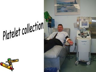 Platelet collection 