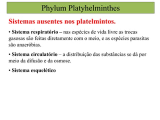 Phylum Platyhelminthes
Sistemas ausentes nos platelmintos.
• Sistema respiratório – nas espécies de vida livre as trocas
gasosas são feitas diretamente com o meio, e as espécies parasitas
são anaeróbias.
• Sistema circulatório – a distribuição das substâncias se dá por
meio da difusão e da osmose.
• Sistema esquelético
 