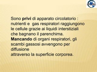 Sistema digerente (assente nelle tenie).