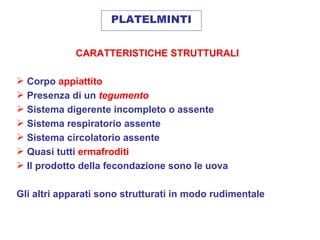 PLATELMINTI


             CARATTERISTICHE STRUTTURALI

 Corpo appiattito
 Presenza di un tegumento
 Sistema digerente incompleto o assente
 Sistema respiratorio assente
 Sistema circolatorio assente
 Quasi tutti ermafroditi
 Il prodotto della fecondazione sono le uova

Gli altri apparati sono strutturati in modo rudimentale
 