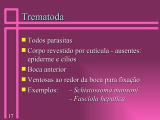 Trematoda Todos parasitas Corpo revestido por cutícula - ausentes: epiderme e cílios Boca anterior Ventosas ao redor da boca para fixação Exemplos: - Schistossoma mansoni   - Fasciola hepatica 