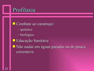 Profilaxia Combate ao caramujo: químico biológico Educação Sanitária Não nadar em águas paradas ou de pouca correnteza  