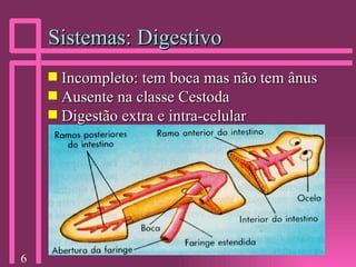 Sistemas: Digestivo Incompleto: tem boca mas não tem ânus Ausente na classe Cestoda Digestão extra e intra-celular 