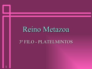 Reino Metazoa 3º FILO - PLATELMINTOS 