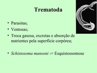 Trematoda

• Parasitas;
• Ventosas;
• Troca gasosa, excretas e absorção de
  nutrientes pela superfície corpórea;

• Schistosoma mansoni -> Esquistossomose
 