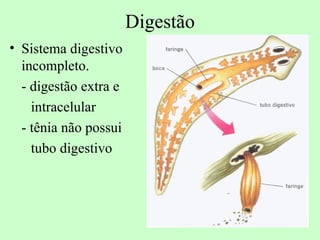 Digestão
• Sistema digestivo
  incompleto.
  - digestão extra e
    intracelular
  - tênia não possui
    tubo digestivo
 
