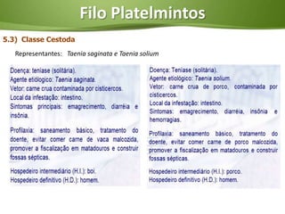 Filo Platelmintos
5.3) Classe Cestoda
   Representantes: Taenia saginata e Taenia solium
 