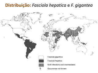 Distribuição: Fasciola hepatica e F. gigantea
 