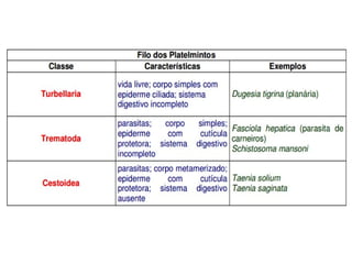 Platelmintos