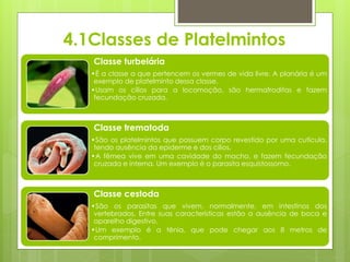4.1Classes de Platelmintos
Classe turbelária
•É a classe a que pertencem os vermes de vida livre. A planária é um
exemplo de platelminto dessa classe.
•Usam os cílios para a locomoção, são hermafroditas e fazem
fecundação cruzada.
Classe trematoda
•São os platelmintos que possuem corpo revestido por uma cutícula,
tendo ausência da epiderme e dos cílios.
•A fêmea vive em uma cavidade do macho, e fazem fecundação
cruzada e interna. Um exemplo é o parasita esquistossomo.
Classe cestoda
•São os parasitas que vivem, normalmente, em intestinos dos
vertebrados. Entre suas características estão a ausência de boca e
aparelho digestivo.
•Um exemplo é a tênia, que pode chegar aos 8 metros de
comprimento.
 