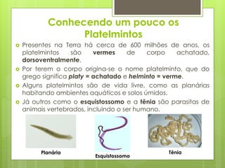 Conhecendo um pouco os
Platelmintos
 Presentes na Terra há cerca de 600 milhões de anos, os
platelmintos são vermes de corpo achatado,
dorsoventralmente.
 Por terem o corpo origina-se o nome platelminto, que do
grego significa platy = achatado e helminto = verme.
 Alguns platelmintos são de vida livre, como as planárias
habitando ambientes aquáticos e solos úmidos.
 Já outros como o esquistossomo e a tênia são parasitas de
animais vertebrados, incluindo o ser humano.
Planária
Esquistossomo
Tênia
 