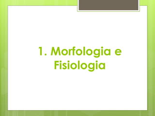 1. Morfologia e
Fisiologia
 