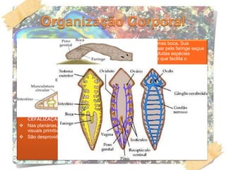  Possuem por possuírem apenas boca. Sua
digestão , pois depois de o alimento passar pela faringe segue
para o intestino onde são lançadas enzimas para a digestão. Muitas espécies
apresentam um o que facilita o
transporte de nutrientes.
 Não possuem sistema respiratório, fazendo a troca gasosa por meio de
 Grande parte de seus resíduos também são eliminados por difusão. Mas possuem
, situado na lateral do corpo com responsáveis
pelo auxilio com a exceção de substâncias e controle osmótico da célula.
 No sistema nervoso estão
Na região anterior ( ou uma espécie de cabeça)
estão dois . Por essa razão seu sistema nervoso é chamado de
 A tendência de agrupamento de células ganglionares na região anterior se chama
 Nas planárias, as estruturas parecidas com dois olhos são que são órgãos
visuais primitivos que permitem identificar a
 São desprovidos de sistema circulatório.
 