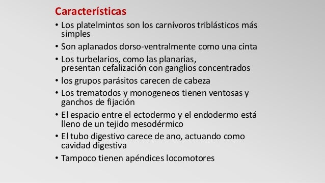 Que reglas de la higiene es necesario observar para la persona que no se contagie por los parásitos