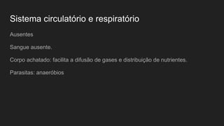 Sistema circulatório e respiratório
Ausentes
Sangue ausente.
Corpo achatado: facilita a difusão de gases e distribuição de nutrientes.
Parasitas: anaeróbios
 