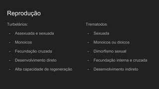 Reprodução
Turbelários:
- Assexuada e sexuada
- Monoicos
- Fecundação cruzada
- Desenvolvimento direto
- Alta capacidade de regeneração
Trematodos:
- Sexuada
- Monoicos ou dioicos
- Dimorfismo sexual
- Fecundação interna e cruzada
- Desenvolvimento indireto
 
