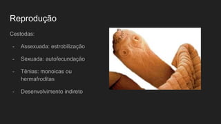 Reprodução
Cestodas:
- Assexuada: estrobilização
- Sexuada: autofecundação
- Tênias: monoicas ou
hermafroditas
- Desenvolvimento indireto
 