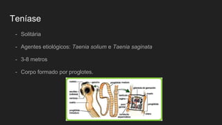 Teníase
- Solitária
- Agentes etiológicos: Taenia solium e Taenia saginata
- 3-8 metros
- Corpo formado por proglotes.
 